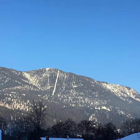 ホテル Garni Alpengruss 2*